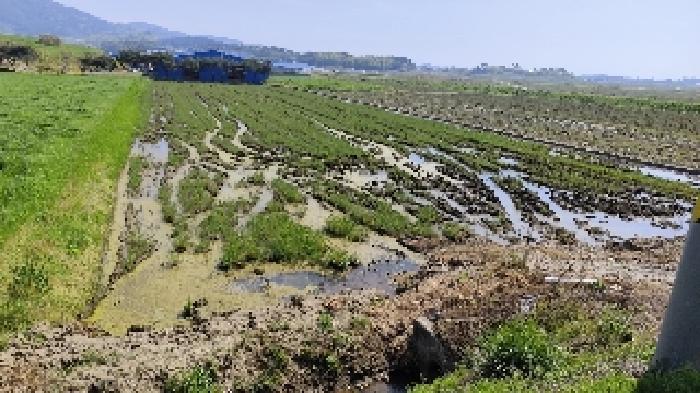 2025타경15674 법원경매 사진7 | 충남 보령시 답 경매