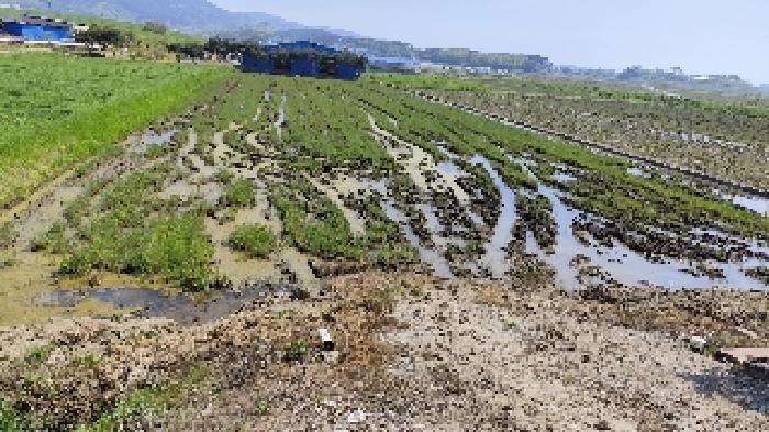 2025타경15674 법원경매 사진8 | 충남 보령시 답 경매