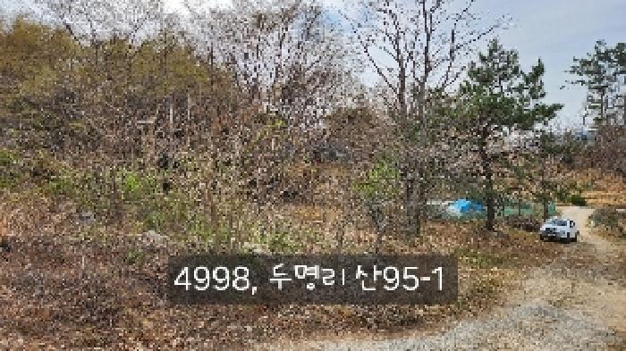 법원경매 2025타경4998 사진40 | 부산 기장군 정관읍 두명리 임야 경매