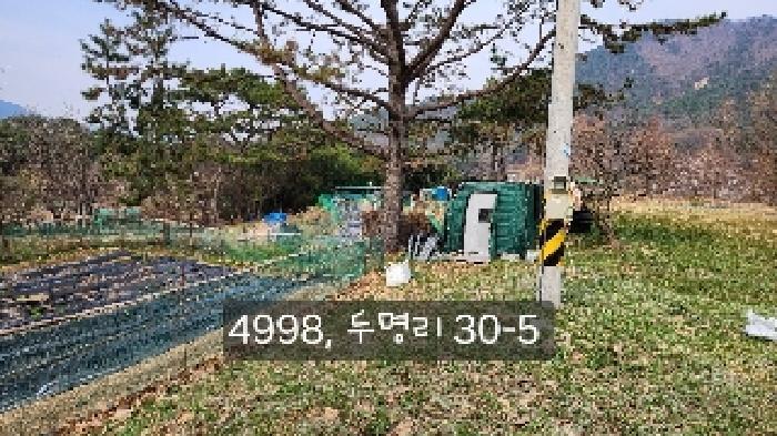 법원경매 2025타경4998 사진44 | 부산 기장군 정관읍 두명리 임야 경매