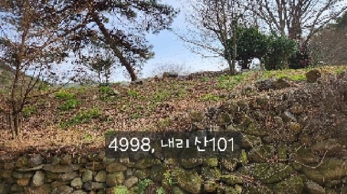 법원경매 2025타경4998 사진46 | 부산 기장군 정관읍 두명리 임야 경매