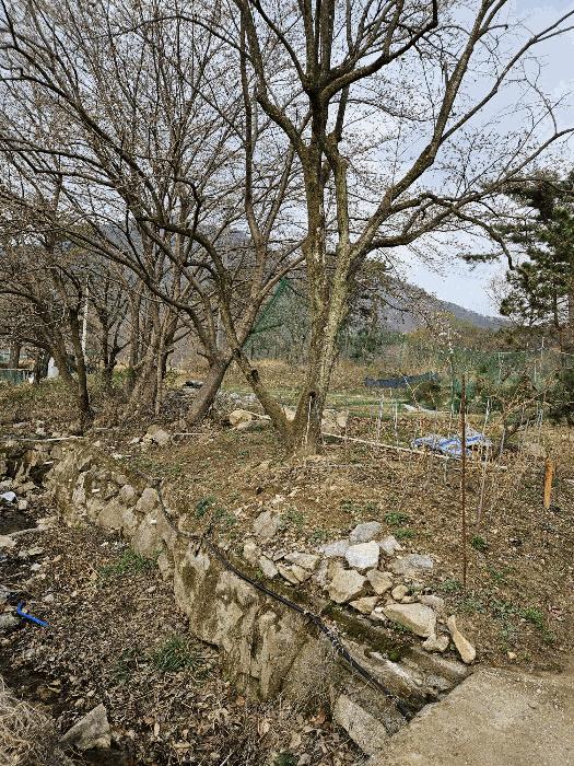 부산광역시 기장군 기장읍 내리 산101 법원경매 물건 대표사진