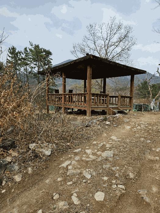 법원경매 2025타경4998 사진10 | 부산 기장군 기장읍 내리 임야 경매