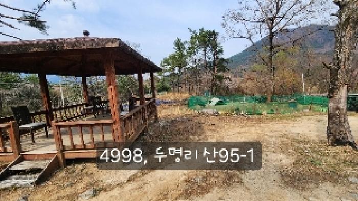 법원경매 2025타경4998 사진20 | 부산 기장군 기장읍 내리 임야 경매