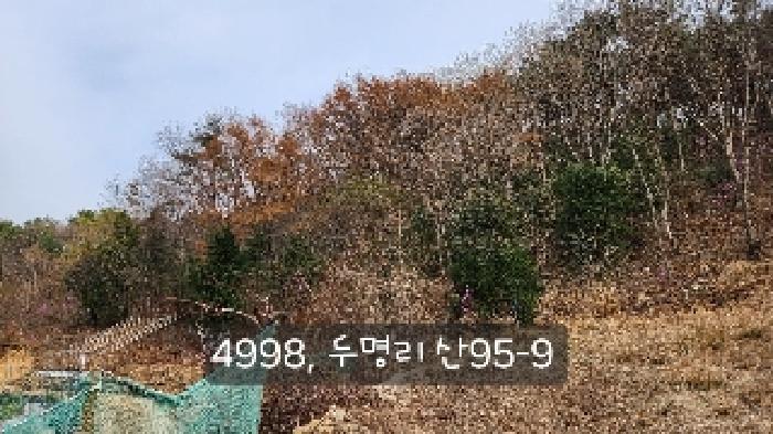 법원경매 2025타경4998 사진21 | 부산 기장군 기장읍 내리 임야 경매