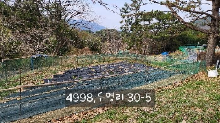 법원경매 2025타경4998 사진22 | 부산 기장군 기장읍 내리 임야 경매