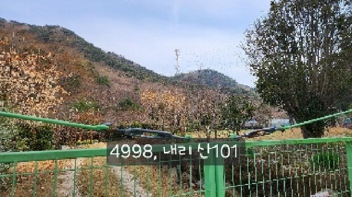 법원경매 2025타경4998 사진28 | 부산 기장군 기장읍 내리 임야 경매