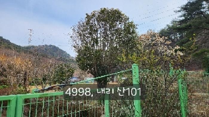 법원경매 2025타경4998 사진30 | 부산 기장군 기장읍 내리 임야 경매