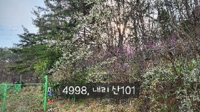 법원경매 2025타경4998 사진33 | 부산 기장군 기장읍 내리 임야 경매
