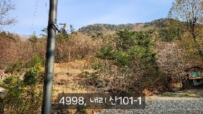 법원경매 2025타경4998 사진34 | 부산 기장군 기장읍 내리 임야 경매