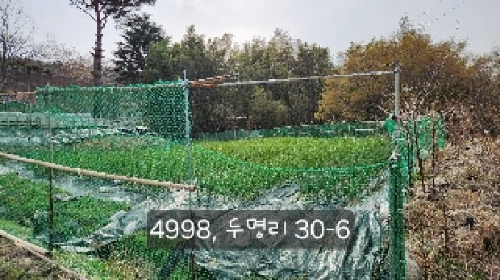 법원경매 2025타경4998 사진36 | 부산 기장군 기장읍 내리 임야 경매