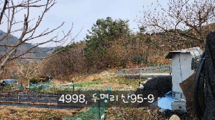 법원경매 2025타경4998 사진37 | 부산 기장군 기장읍 내리 임야 경매