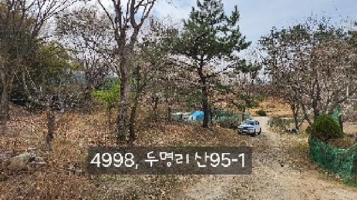 법원경매 2025타경4998 사진41 | 부산 기장군 기장읍 내리 임야 경매