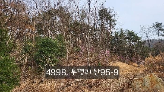 법원경매 2025타경4998 사진43 | 부산 기장군 기장읍 내리 임야 경매