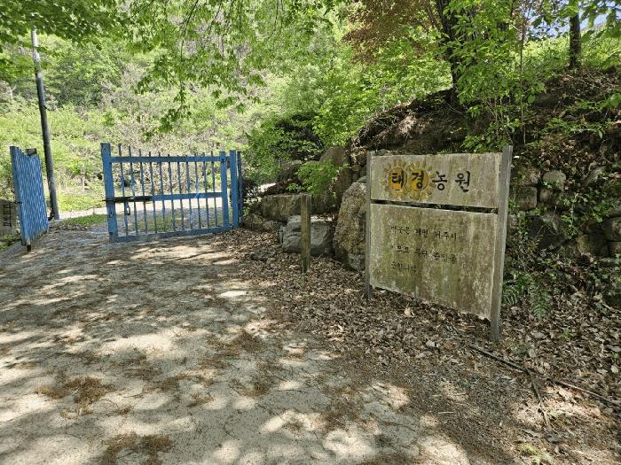 법원경매 2025타경4998 사진8 | 부산 기장군 기장읍 내리 임야 경매