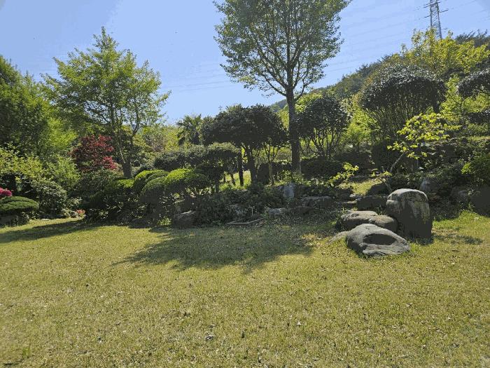 법원경매 2025타경4998 사진9 | 부산 기장군 기장읍 내리 임야 경매
