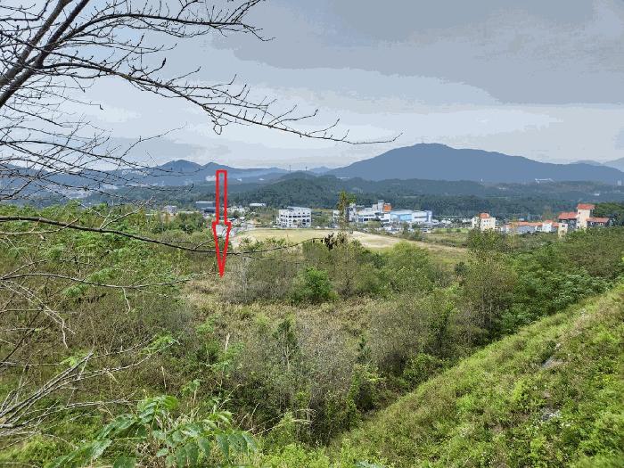 2025타경12290 법원경매 사진5 | 천안 동남구 대지 경매