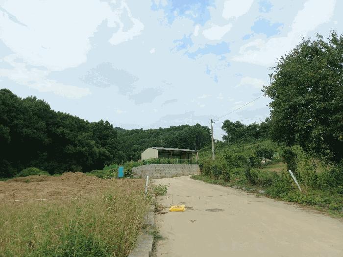 2025타경12335 법원경매 사진4 | 충남 아산시 임야 경매