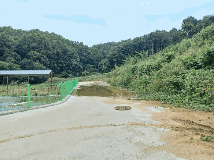 2025타경12335 법원경매 사진7 | 충남 아산시 임야 경매