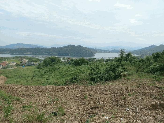 2025타경12335 법원경매 사진8 | 충남 아산시 임야 경매