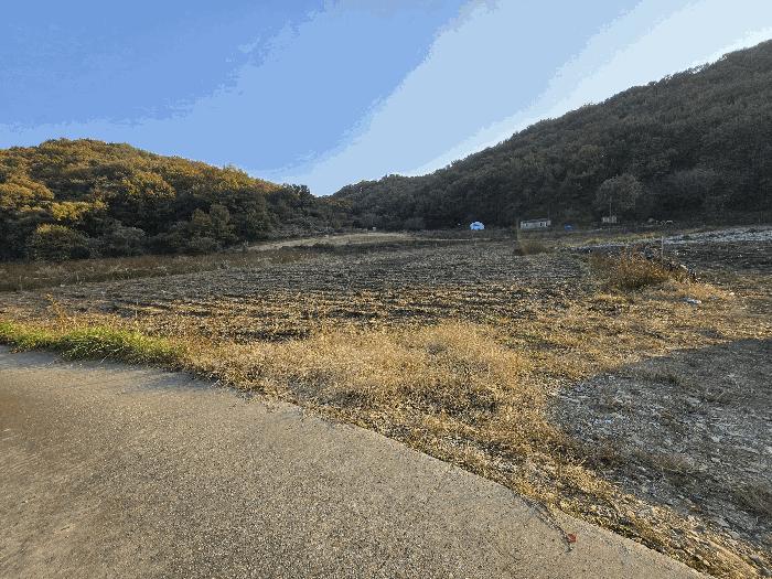 충청남도 아산시 음봉면 동천리 69-3 법원경매 물건 대표사진
