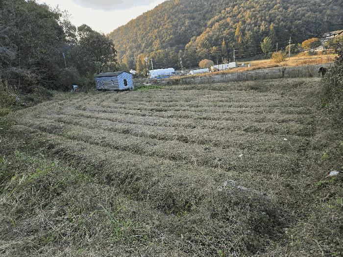 2025타경12474 법원경매 사진8 | 충남 아산시 답 경매