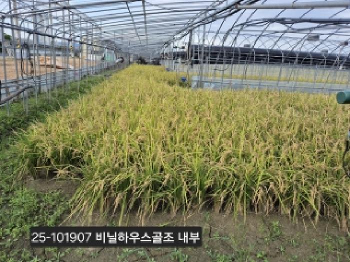 법원경매 2025타경101907 사진9 | 부산 강서구 대저2동 901-1 답 경매