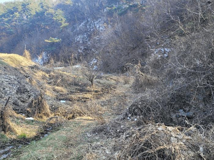 충남 공주시 우성면 방문리 635 전 사진 2