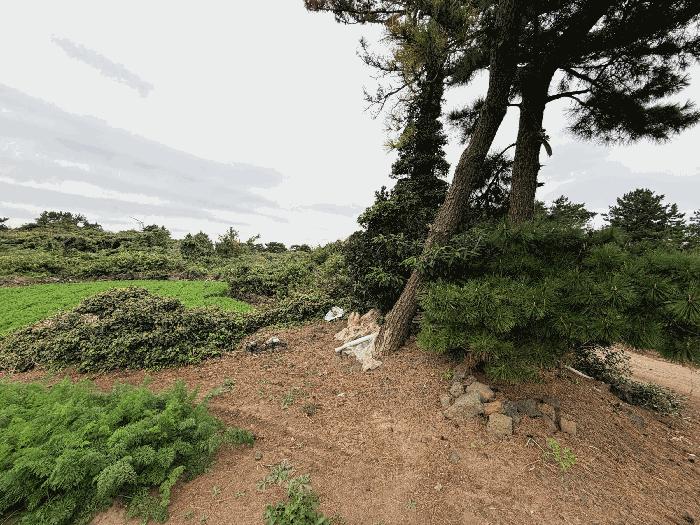 2025타경1789 법원경매 사진35 | 제주 제주시 임야 경매