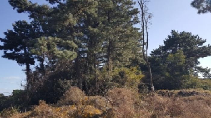 2025타경1789 법원경매 사진46 | 제주 제주시 임야 경매