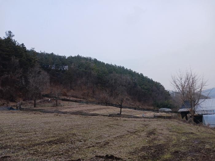 2025타경46 법원경매 사진2 | 충남 공주시 임야 경매