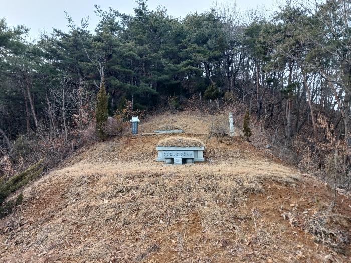 2025타경46 법원경매 사진4 | 충남 공주시 임야 경매