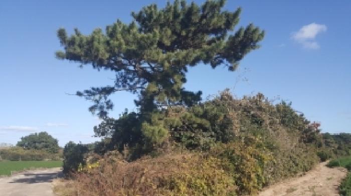 2025타경1789 법원경매 사진72 | 제주 제주시 임야 경매