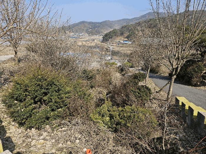 2025타경20220 법원경매 사진8 | 충남 공주시 주택건물 경매