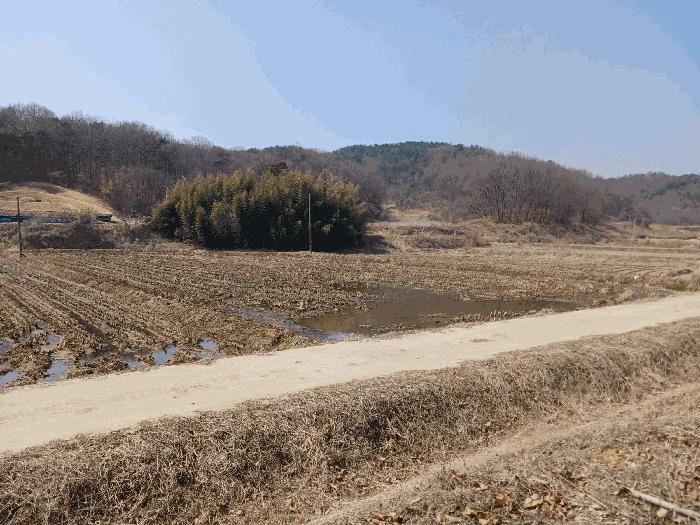 2025타경20229 법원경매 사진2 | 충남 공주시 답 경매