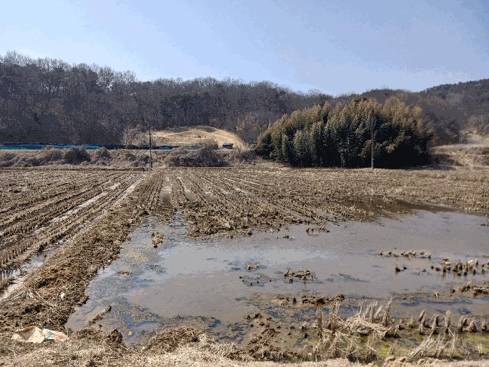 2025타경20229 법원경매 사진3 | 충남 공주시 답 경매