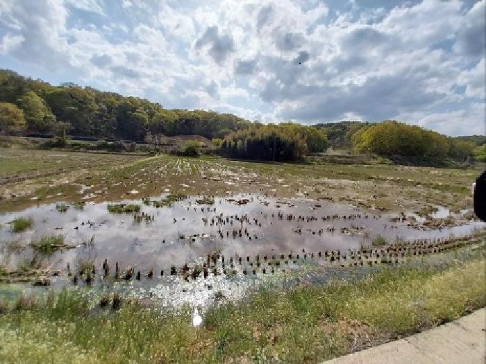 2025타경20229 법원경매 사진5 | 충남 공주시 답 경매