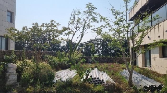 2025타경7856 법원경매 사진45 | 제주 제주시 주택건물 경매