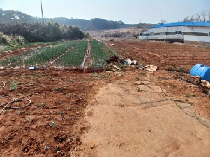 2025타경579 법원경매 사진12 | 충남 당진시 전 경매