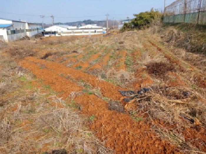 2025타경579 법원경매 사진9 | 충남 당진시 전 경매