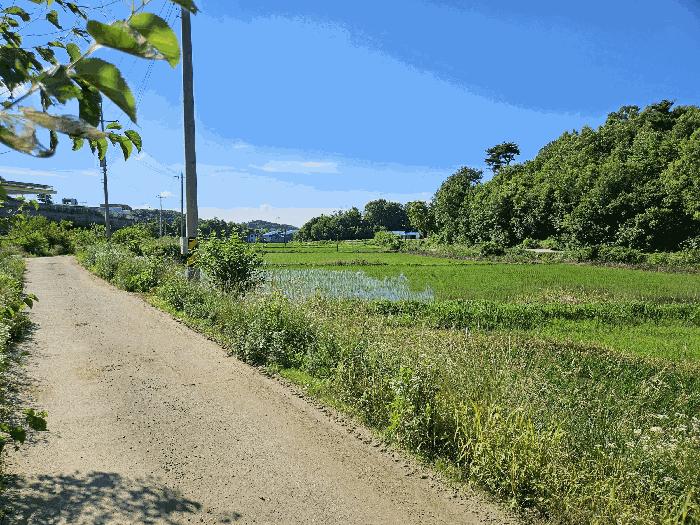 2025타경691 법원경매 사진3 | 충남 당진시 답 경매