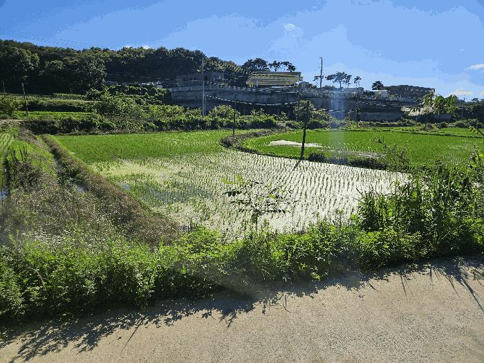 2025타경691 법원경매 사진4 | 충남 당진시 답 경매