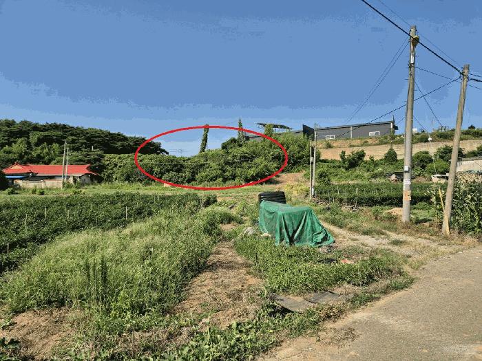 2025타경711 법원경매 사진2 | 충남 당진시 전 경매
