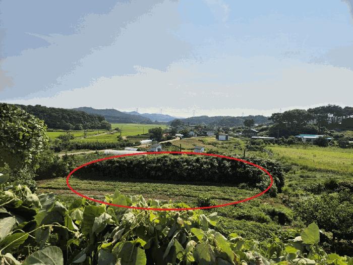 2025타경711 법원경매 사진4 | 충남 당진시 전 경매