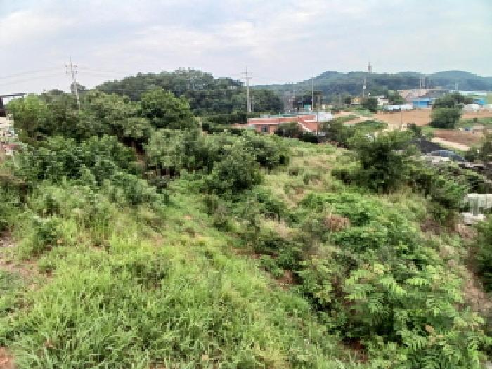 2025타경711 법원경매 사진6 | 충남 당진시 전 경매