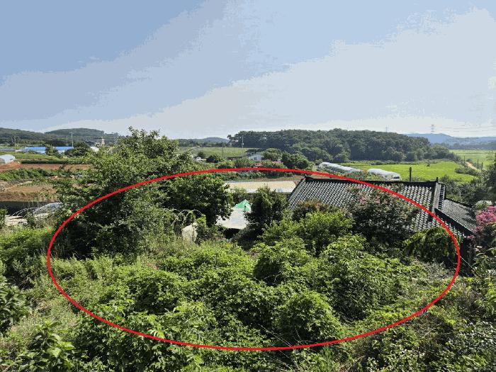 2025타경711 법원경매 사진5 | 충남 당진시 전 경매
