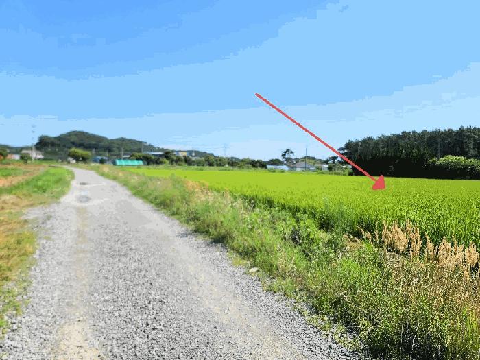 2025타경738 법원경매 사진4 | 충남 태안군 답 경매
