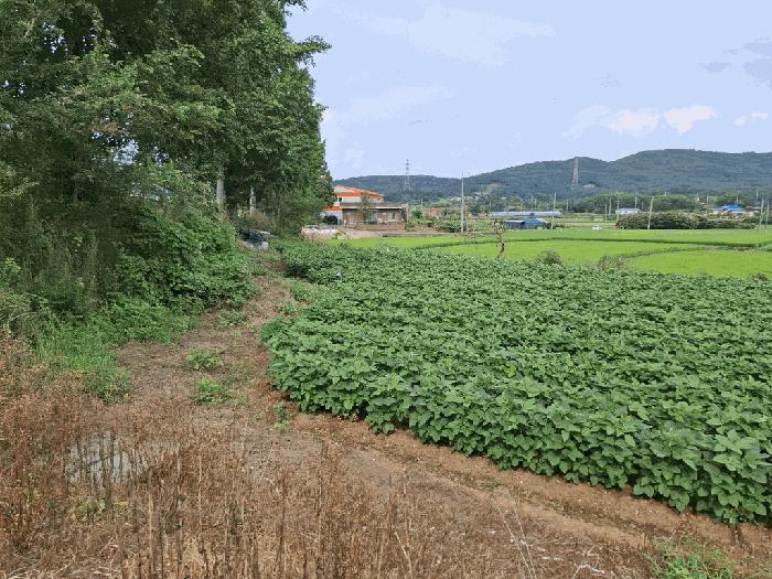2025타경748 법원경매 사진2 | 충남 서산시 전 경매