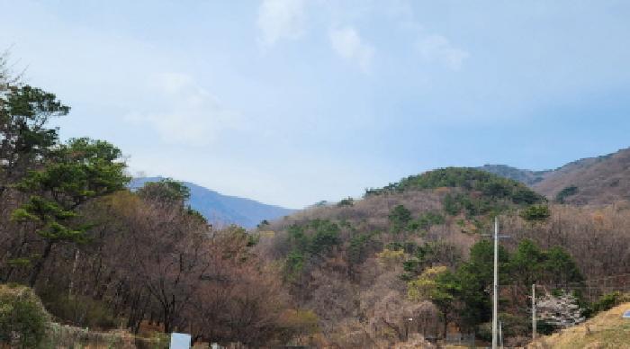 2025타경11481 법원경매 사진28 | 경남 양산시 전 경매