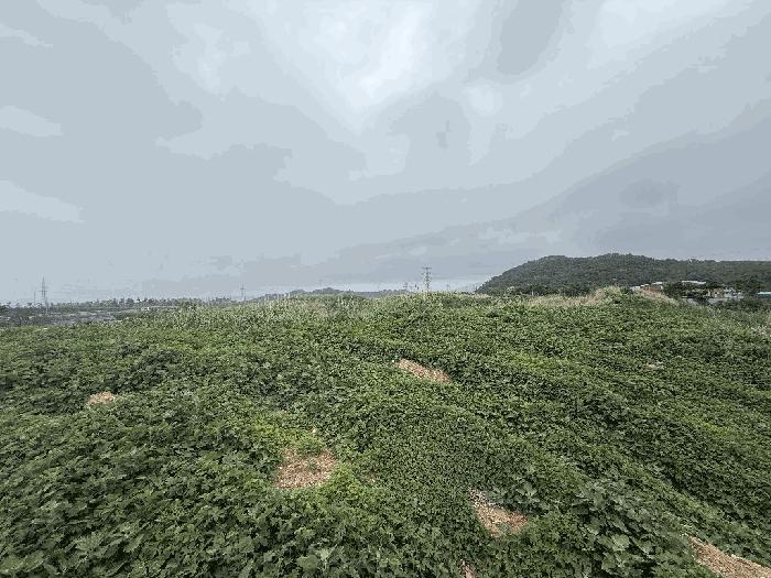 울산광역시 울주군 삼남읍 상천리 668-2 법원경매 물건 대표사진